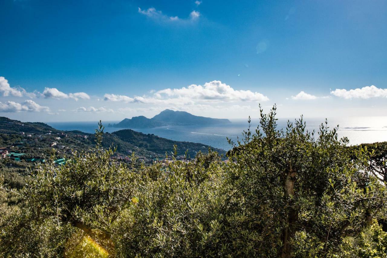 Villa Bellatrix Massa Lubrense Kültér fotó
